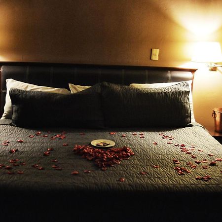 Hotel Flamingo Kristal Ирапуато Екстериор снимка